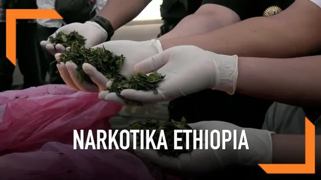 VIDEO: Narkoba Berbahaya Ethiopia Gagal Diselundupkan