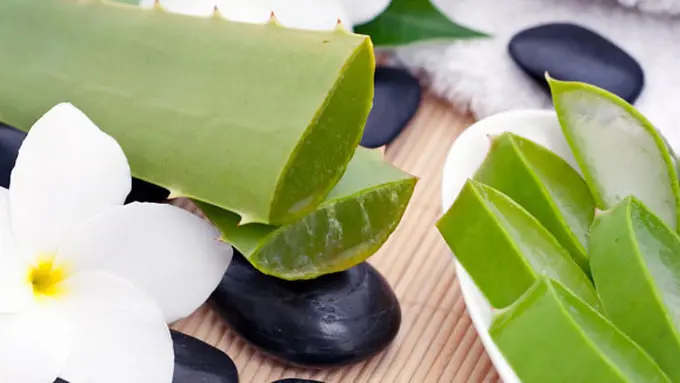 Foto Copyright thinkstockphotos.com