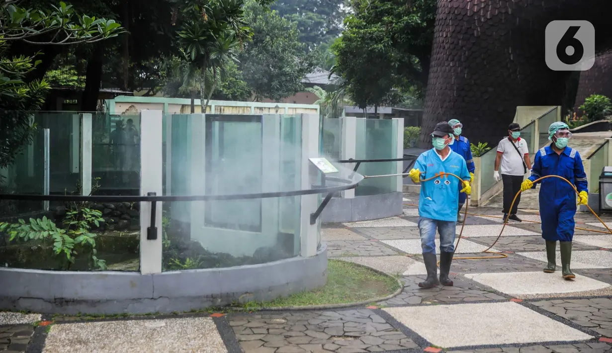 Petugas menyemprotkan cairan disinfektan di Taman Komodo TMII, Jakarta, Rabu (18/3/2020). Penyemprotan dilakukan untuk mengantisipasi penyebaran virus corona COVID-19. (Liputan6.com/Faizal Fanani)