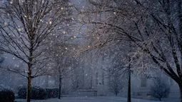 Salju turun di Gedung Putih, Washington, saat badai musim dingin bertiup ke wilayah Atlantik Tengah pada Senin (3/1/2022) dini hari. Hujan salju lebat disertai angin kencang mengguyur wilayah tenggara dan tengah Amerika Serikat. (AP Photo/Andrew Harnik)