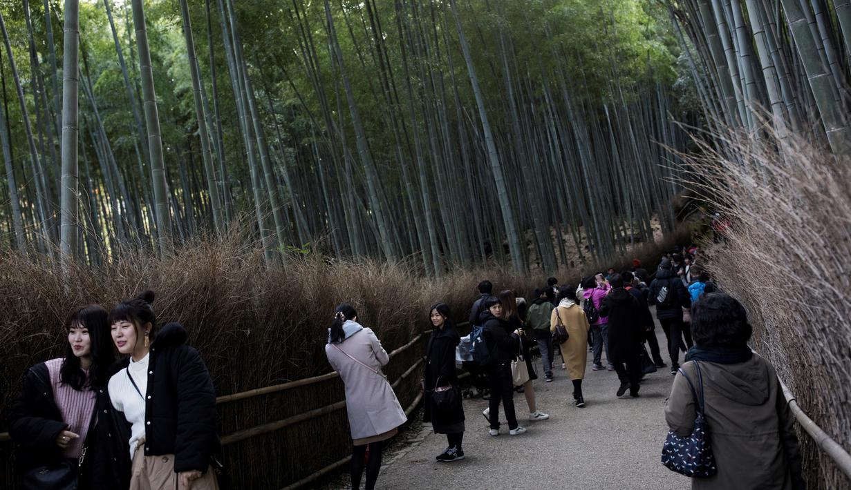FOTO Menikmati Rindangnya Hutan Bambu  Sagano di  Jepang  