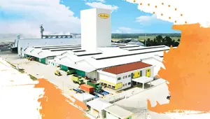 Malindo Feedmill Buka Lowongan Kerja untuk Lulusan D3 dan S1, Simak Persyaratannya
