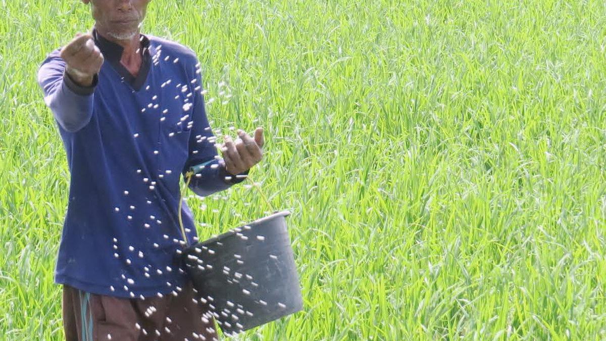 Harga Pupuk Turun 20%, Ini Tanggapan HKTI Jabar