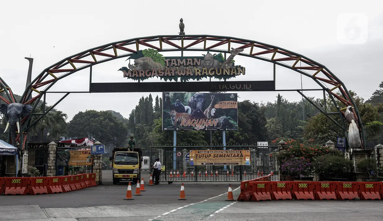 Suasana Taman Margasatwa Ragunan, Jakarta, Sabtu (26/6/2021). Taman Margasatwa Ragunan tutup sementara menyusul Pemberlakuan Pembatasan Kegiatan Masyarakat (PPKM) Mikro terkait melonjaknya kasus COVID-19 di Jakarta. (Liputan6.com/Johan Tallo)