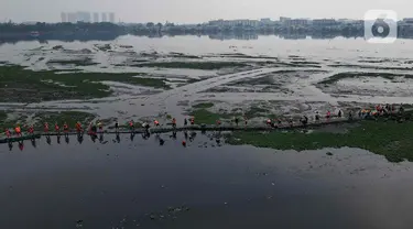 Pemandangan udara ketika puluhan petugas dari Unit Penanganan Sampah (UPS) Badan Air Dinas Lingkungan Hidup DKI Jakarta mengangkat tanaman eceng gondok di area Waduk Pluit, Jakarta Utara, Kamis (8/8/2024). (Liputan6.com/Herman Zakharia)