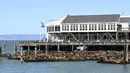 Ratusan singa laut tiba-tiba muncul di Dermaga 39 di San Fransisco, California, dalam sepekan terakhir, menurut laporan setempat. (Yuri Avila/San Francisco Chronicle via AP)