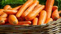 Ilustrasi wortel (Sumber: Pixabay/jackmac34)