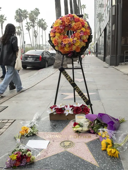 pada bintang Sidney Poitier di Hollywood Walk of Fame di Hollywood, California, Jumat (7/1/2022). Poitier, bintang film kulit hitam pertama Hollywood dan pria kulit hitam pertama yang memenangkan aktor terbaik Oscar, meninggal pada usia 94 tahun. (VALERIE MACON/AFP)
