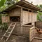 9 Desain Kandang Ayam Petelur dari Bambu Bekas, Sederhana tapi Fungsional