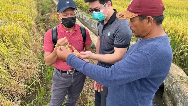 Membina petani di lahan di Kabupaten Sopeng, Sulawesi Selatan
