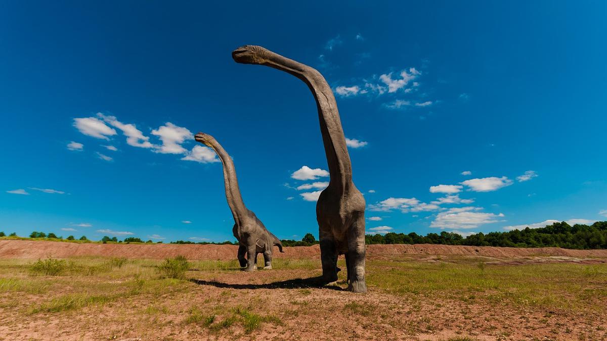 Ilmuwan Coba Pecahkan Misteri Kuburan Massal Dinosaurus di Pipestone Creek