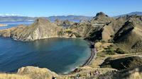 Pemandangan dari puncak Padar di Taman Nasional Komodo di lepas pantai Labuan Bajo, Nusa Tenggara Timur (NTT). (Liputan6.com/Asnida Riani)