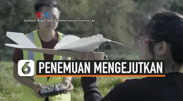 Penemuan Mengejutkan