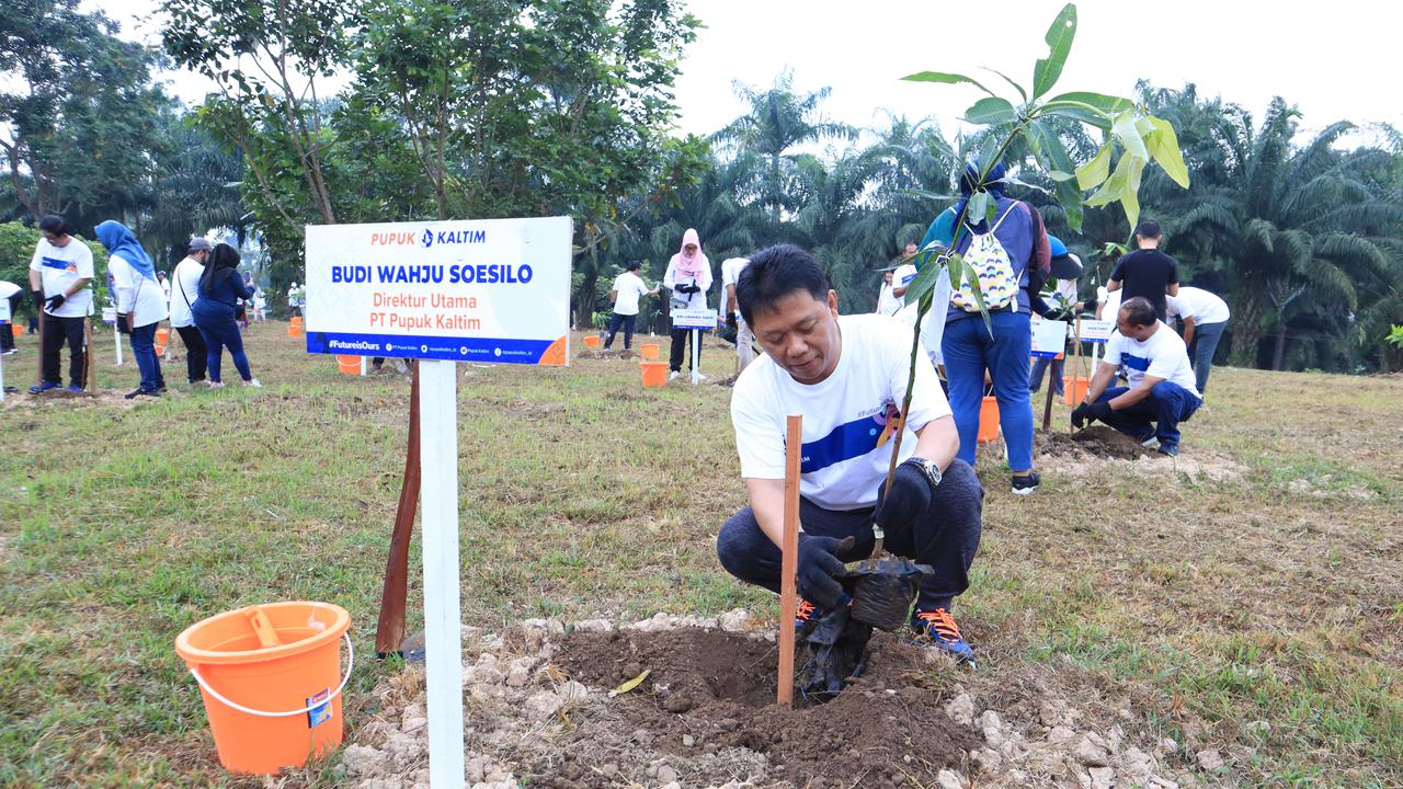 Dorong Kelanjutan Lingkungan, Pupuk Kaltim Tanam Hampir 1 Juta Pohon sejak 2022