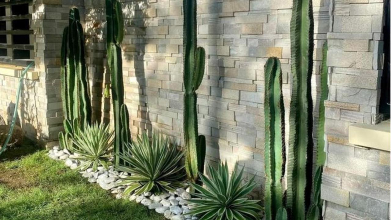 Ilustrasi Taman Kaktus atau Sukulen Sebagai Taman Depan Rumah Minimalis pada Lahan Sempit (©Pinterest)