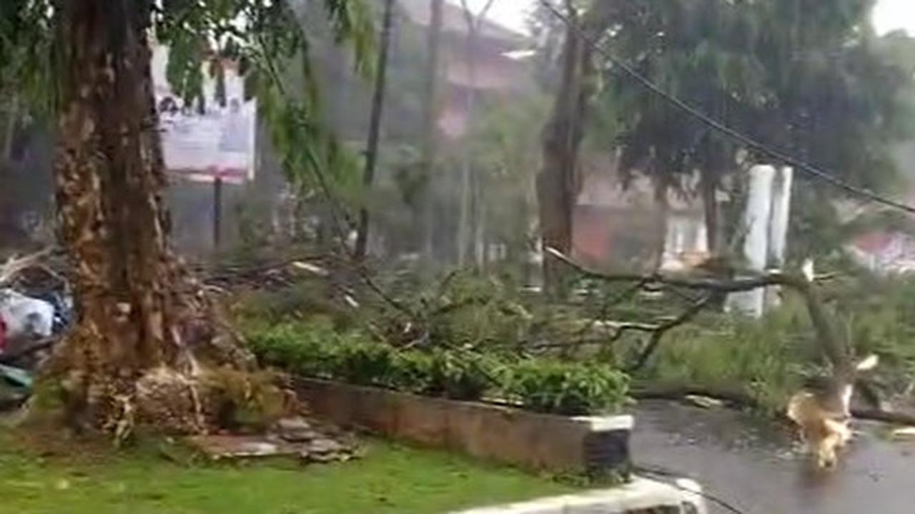 Hujan Ekstrem di Bogor, Pohon Besar Tumbang Tutup Ruas Jalan, Sepeda Motor Terguling