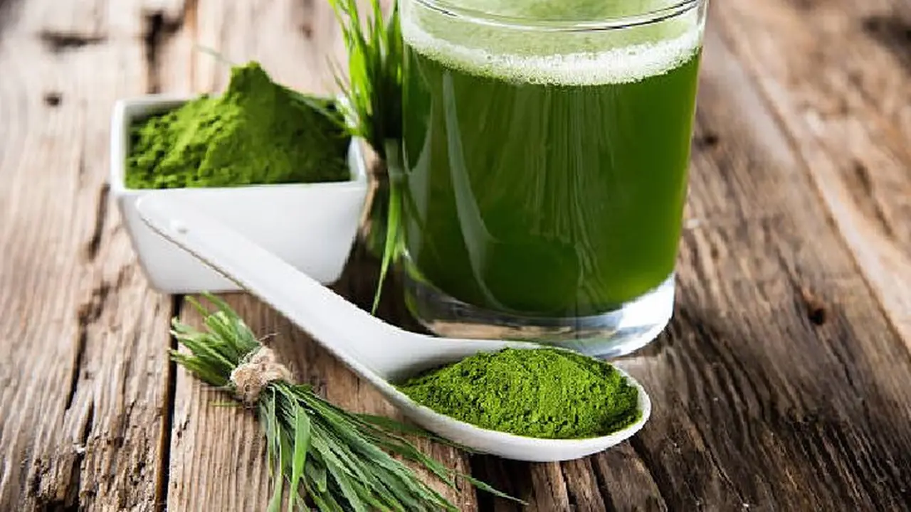 Rumput Gandum atau Wheatgrass (iStock)