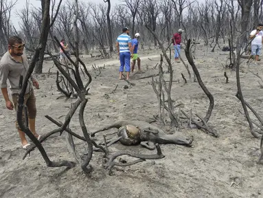 Warga menyaksikan bangkai hewan yang mati di El Kala, di wilayah El Tarf, dekat perbatasan utara Aljazair-Tunisia, Kamis (18/8/2022). Kebakaran yang melanda di hutan Aljazair timur telah menewaskan sedikitnya 26 orang, menurut untuk "laporan sementara" oleh menteri dalam negeri negara Afrika utara itu. (AP Photo/Mohamed Ali)