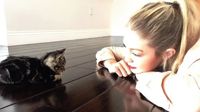 [Bintang] Gigi Hadid