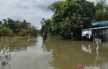 Pemkab Pati Umumkan Perpanjangan Status Darurat Bencana Pati, Penanganan Banjir dan Longsor Dioptimalkan