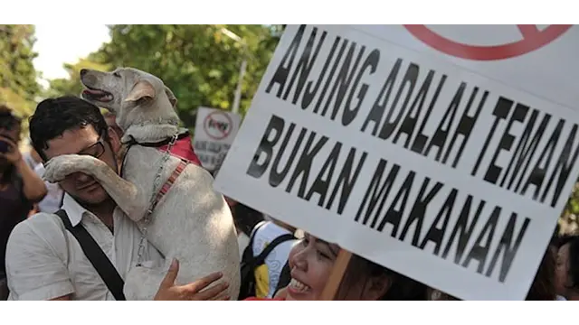 News Flash: Ahok Tak Bisa Larang Warga Jakarta Konsumsi Daging Anjing