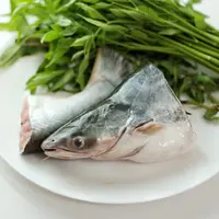 ilustrasi ikan patin/copyright By cypopcolour (Shutterstock)