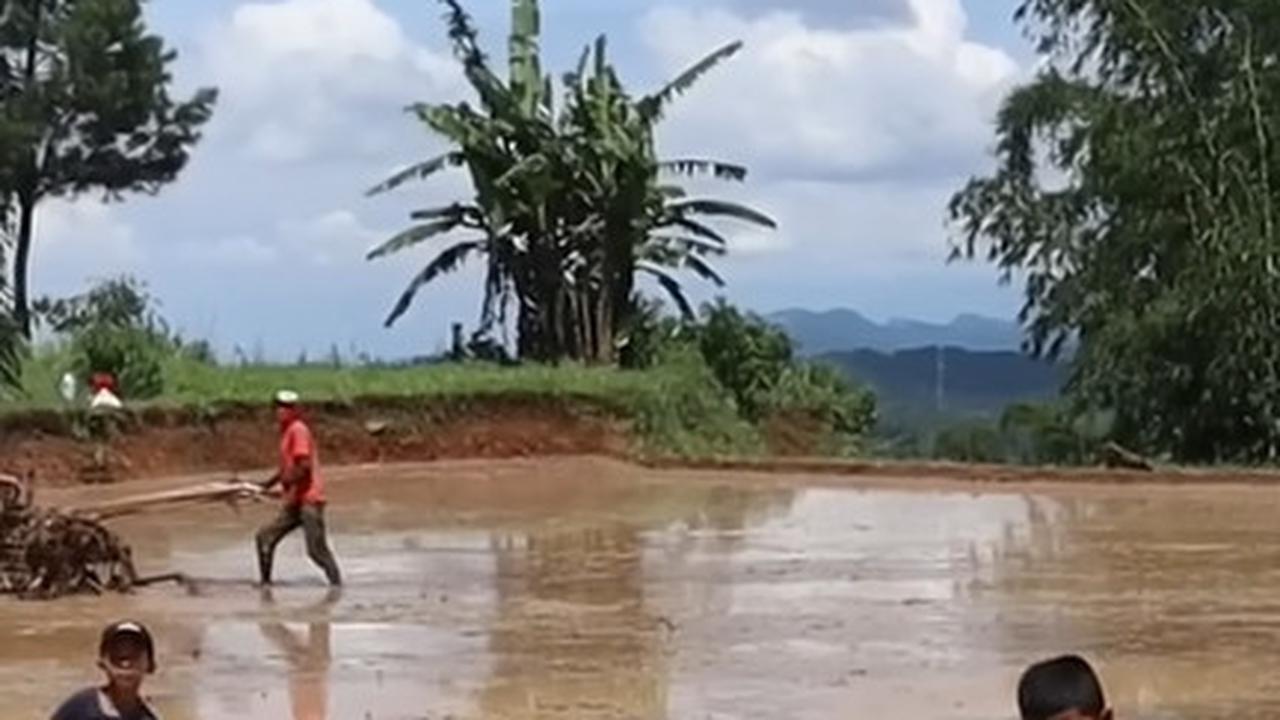 Jauh dari Gadget, Begini Keseruan Anak-anak di Kampung Pasir Gudang Cianjur Isi Waktu Luang