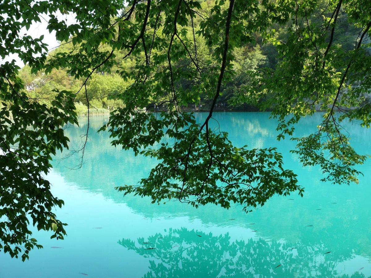 2. Telaga Warna Puncak Cisarua