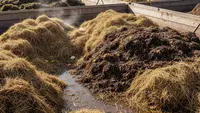 7 Cara Fermentasi Jerami Jadi Pupuk Organik yang Menyuburkan Tanaman Padi dan Sayuran