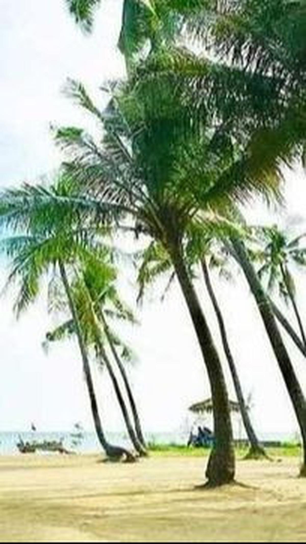 3. Pantai Kelapa<br>