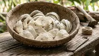 Cara Mengubah Gudang Jadi Sarang Walet yang Ideal dan Menguntungkan