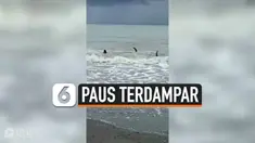 NELAYAN SELAMATKAN 5 PAUS PILOT TERDAMPAR DI PANTAI FILIPINA