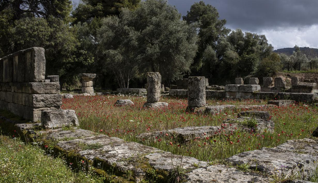 Bunga poppy mekar pada Bouleuterion atau Council House abad ke-6 SM di Olympia, tempat penyelenggaraan Olimpiade Yunani Kuno, Senin (23/3/2021). Pemerintah Yunani membuka kembali situs-situs kuno secara nasional untuk memulai lagi musim pariwisata pada pertengahan Mei. (AP Photo/Petros Giannakouris)