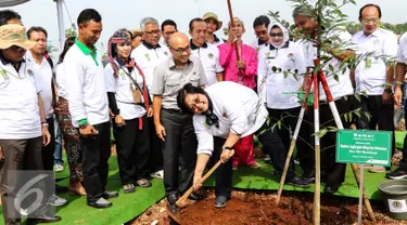 Menteri LHK, Siti Nurbaya bersama jajarannya menanam Pohon Damar pada kegiatan penanaman 300 pohon di Intercharge Subang KM. 109 Tol Cipali, Sabtu (19/3). 12.979 batang pohon trembesi telah ditanam di sepanjang 116,75 km. (Liputan6.com/Fery Pradolo)