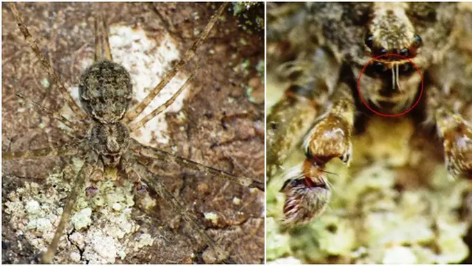 Photo copyright Stomp.com.sg