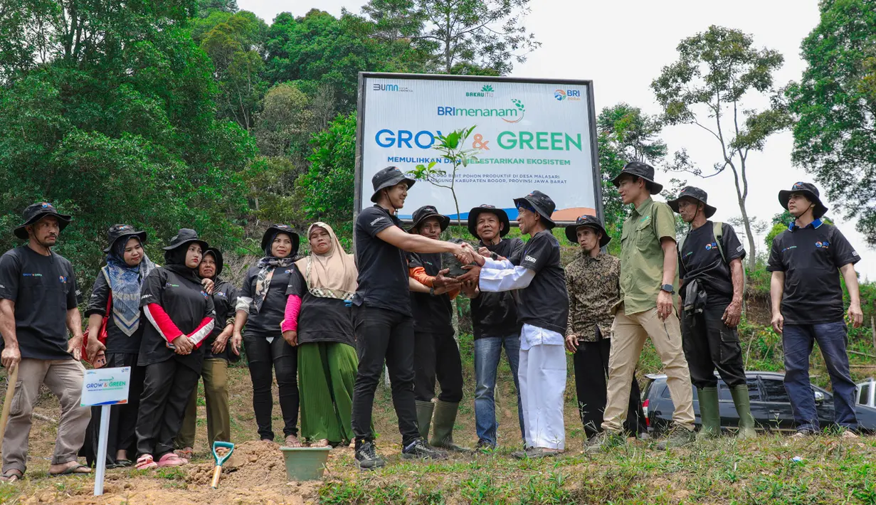 Melalui perhutanan sosial ini, Rasman dan anggota KTH Pabangbon akhirnya berhasil mendapat kesempatan mengelola 150 hektar lahan. Total kini terdapat 167 orang tergabung dalam KTH. Ketika semua harapan mulai berjalan, Rasman mengakui kelompok yang dipimpinnya memiliki keterbatasan pengetahuan terkait tanaman. Sampai akhirnya mereka bertemu dengan Yayasan Bakau Manfaat Universal (BakauMU) bersama BRI. Melalui kolaborasi dengan BRI bersama BakauMU, perlahan KTH Pabangbon semakin bertumbuh. Kehadiran BRI dan BakauMU tidak hanya memberikan bantuan, keduanya juga terjun langsung memberikan edukasi dan pendampingan setiap harinya. Program BRI menanam Grow & Green ini juga sebagai upaya untuk mendukung target Net Zero Emission di tahun 2050. Langkah ini bertujuan meningkatkan kesadaran masyarakat untuk menjaga bumi dan melestarikan segala sumber daya alam di dalamnya. (Foto: Dokumentasi BRI)