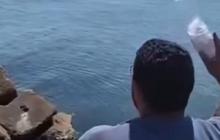 VIDEO Warga Mesir Lempar Botol Berisi Beras ke Laut, Berharap Bantuan Itu Sampai ke Gaza