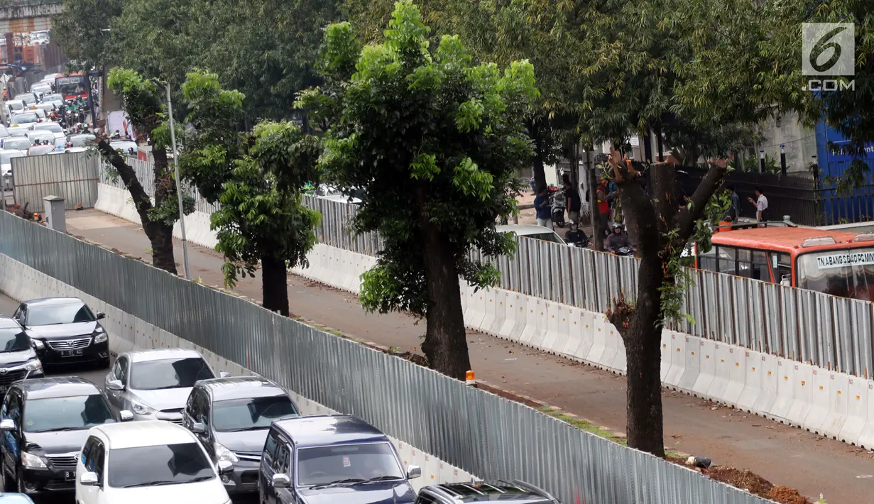 Pohon-pohon terdampak penataan ulang trotoar  di kawasan Sudirman, Jakarta, Jumat (9/3). Pemprov DKI Jakarta yang merelokasi pohon-pohon ini, sudah melakukan langkah tersebut terhadap 110 pohon hingga kini. (Liputan6.com/Arya Manggala)