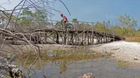 Seorang pebalap Mountain Bike Cross Country Marathon melintasi jembatan kayu pada Festival Pesona Tanjung Lesung 2017 di Tanjung Lesung, Banten (23/9/2017). MTB XCM tersebut menempuh jarak 48 km. (Bola.com/Nicklas Hanoatubun)