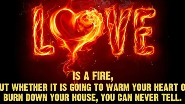 Photo copyright All Woman Stalk