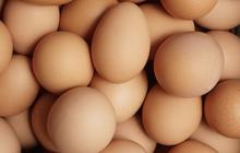 5 Dampak Berbahaya dari Konsumsi Telur secara Berlebihan