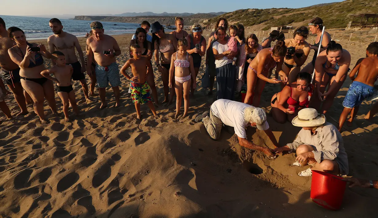Wisatawan mengelilingi pengamat ahli biologi kelautan, Andreas Demetropoulos (berlutut) dan Myroula Hadjichristophorou saat mencoba menarik tukik-tukik laut yang baru menetas dari sarangnya di Pantai Lara, Siprus, 10 Agustus 2018. (AP/Petros Karadjias)