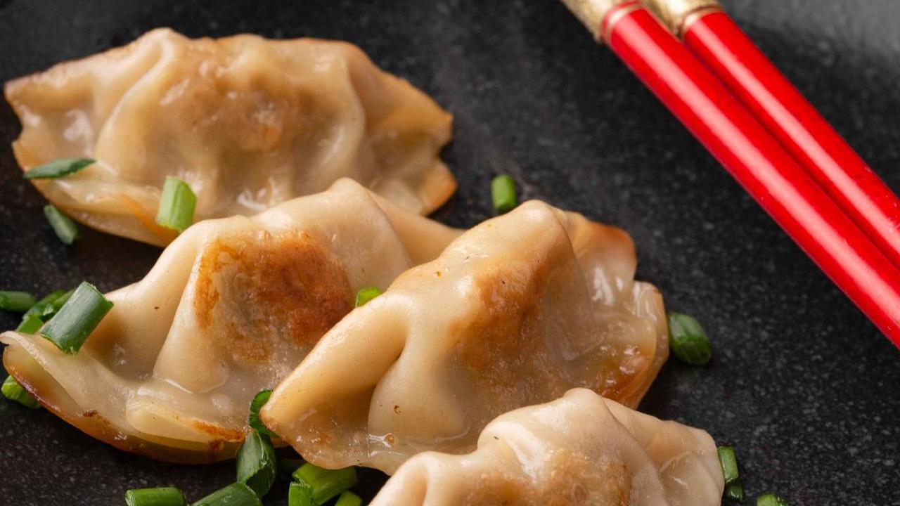 Gyoza Ayam Udang Sayur Premium
