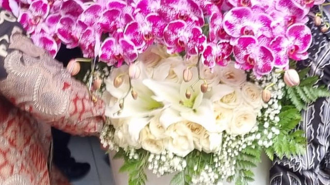 VIDEO: Ini Makna Anggrek Ungu Hadiah Presiden Jokowi untuk Ulang Tahun Megawati