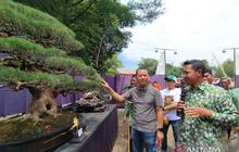 Fakta Unik Pameran Bonsai Kudus: Ada Bonsai Seharga Rp800 Juta, Ratusan Koleksi Ramaikan Balai Jagong