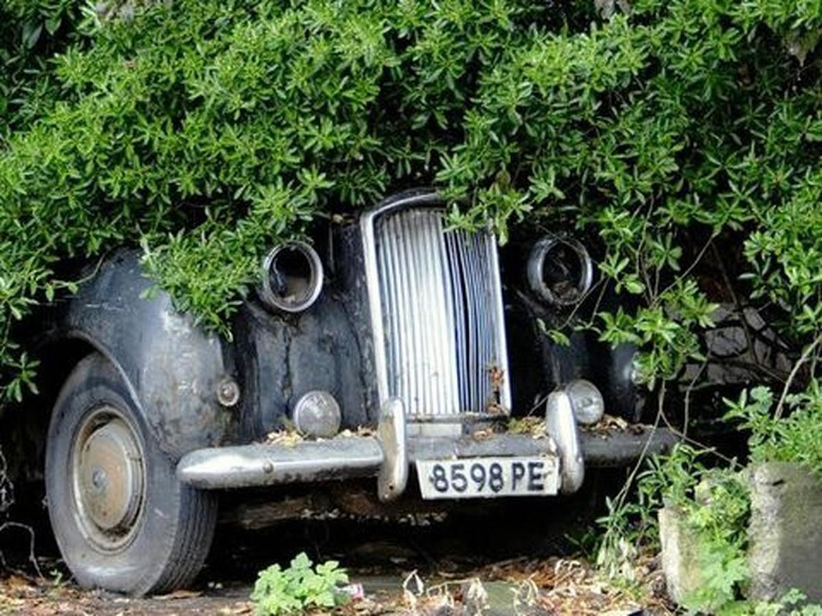 Sayang Banget! Deretan Mobil Mewah Ini Ditinggal Sampai Jadi Rongsokan