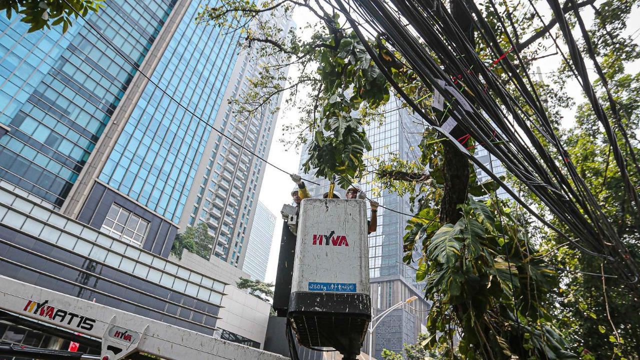 Dari beragam jenis kabel yang ditertibkan ada satu yang diutamakan dalam penertiban ini, adalah kabel fiber optik.