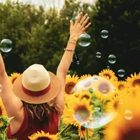 Buat harimu lebih bermakna dengan menerapkan rutinitas pagi yang tepat/Copyright pexels.com/Andre Furtado