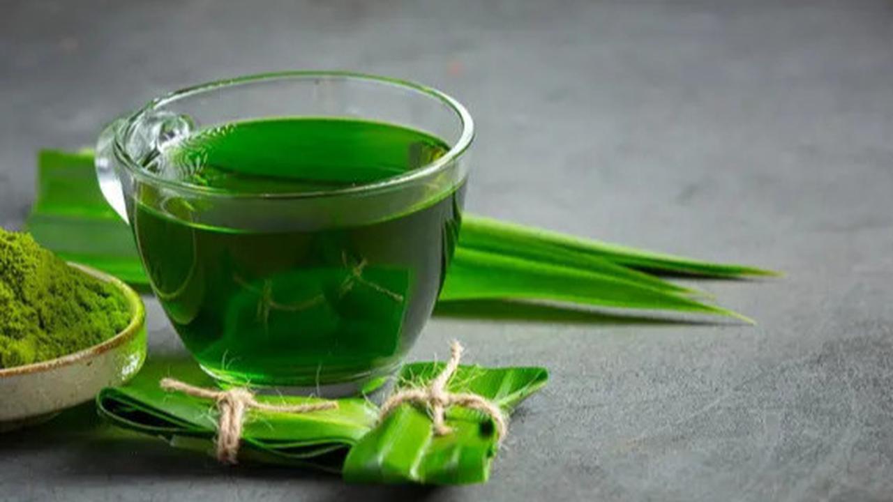 Jarang Diketahui, Khasiat Daun Pandan untuk Pria Tingkatkan Vitalitas dan Kesehatan