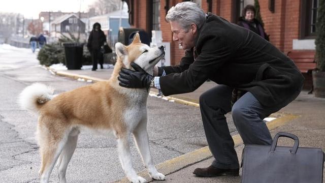 Hachi: A Dog's Tale (2009)